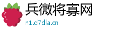 兵微将寡网